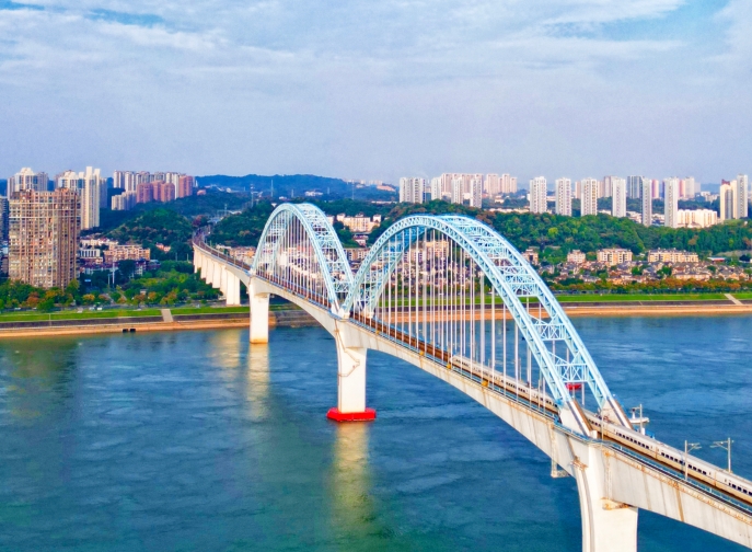 向光而行，花開滿途